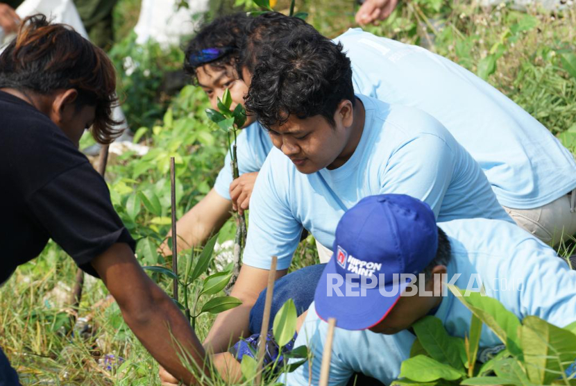 PT Pelabuhan Indonesia (Pelindo) menanam 1.500 bibit mangrove di kawasan pesisir Tambak Lorok, Semarang, Jawa Tengah.