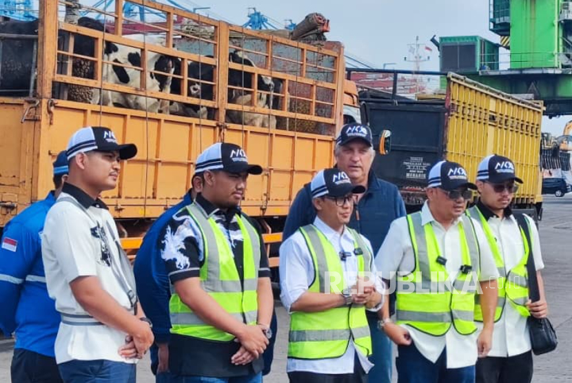 Indonesia kembali kedatangan 523 ekor sapi perah dari Australia di Pelabuhan Tanjung Priok, Jakarta Utara, Jumat (19/9/2025).