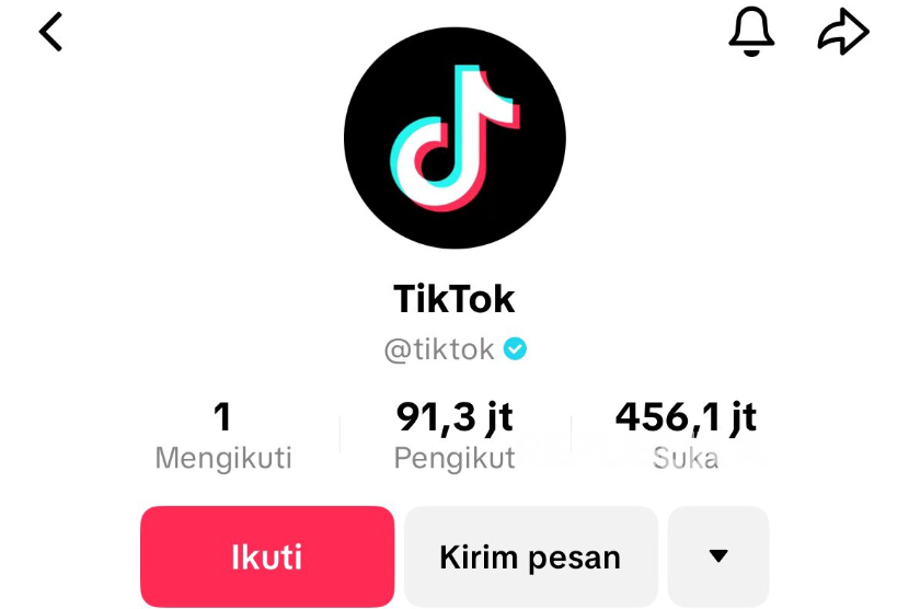Akun Tiktok.