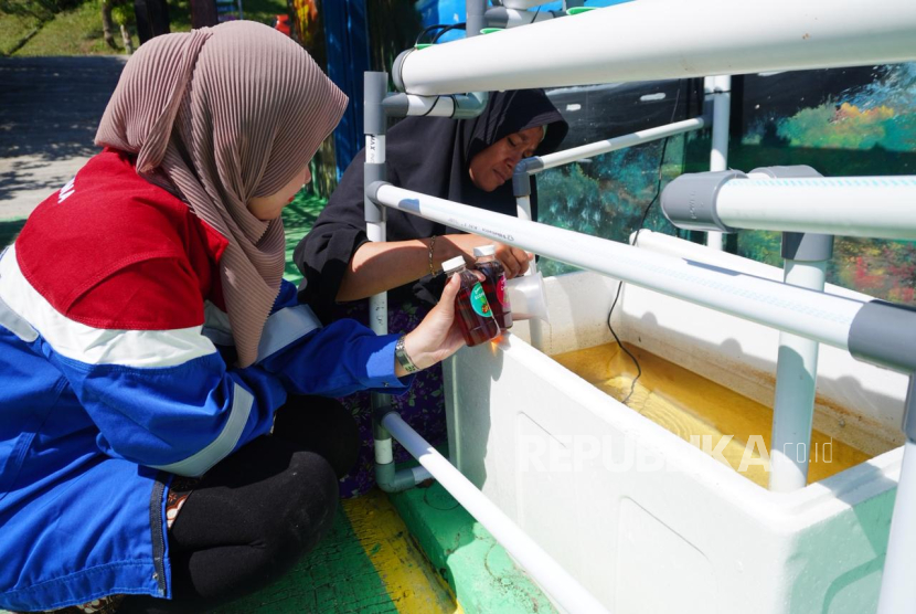 Pertamina