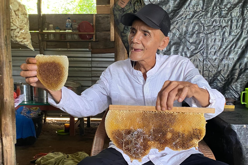 Jejak Madu di Aurduri, Cerita Bustam dan Kawanan Lebahnya