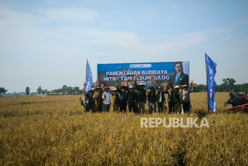 Bulog Perkuat Hilirisasi Pangan Lewat Budi Daya di Aset Sendiri