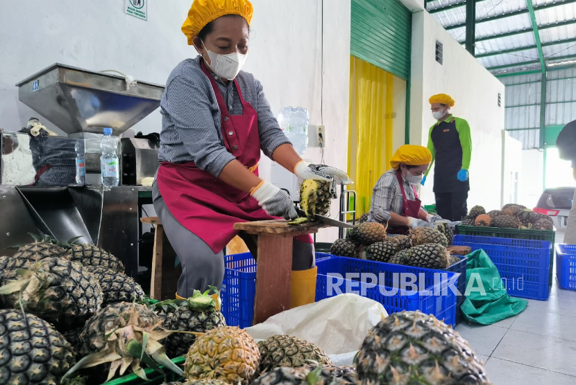 Aktivitas di pabrik selai nanas Industri Komunal Olahan Nanas (IKON) Dompet Dhuafa, Desa Cirangkong, Kecamatan Cijambe, Kabupaten Subang, Jawa Barat, Rabu (26/11/2025).