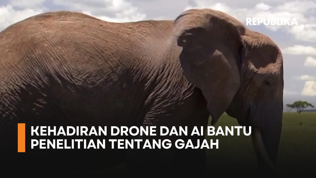 Melacak Gajah dengan Drone dan AI