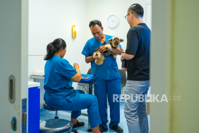 Modernvet Hadirkan Rumah Sakit Hewan Berteknologi Lengkap di Kemang