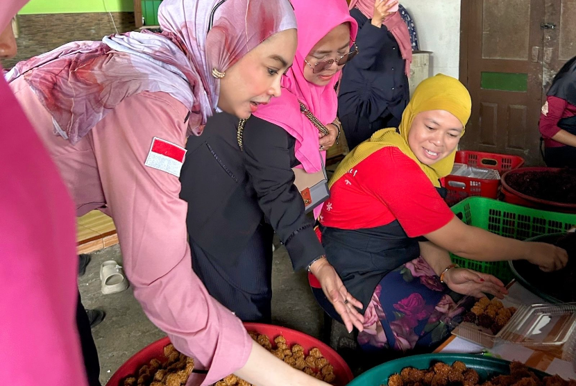 UMKM Perempuan di Daerah Butuh Dukungan, Ipemi Dorong Peran Stakeholder