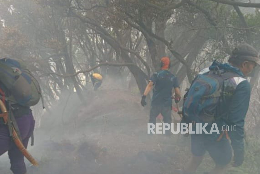 Petugas memadamkan kebakaran di Alun-Alun Barat Surya Kencana kawasan Taman Nasional Gunung Gede Pangrango, Kabupaten Bogor, Jawa Barat.