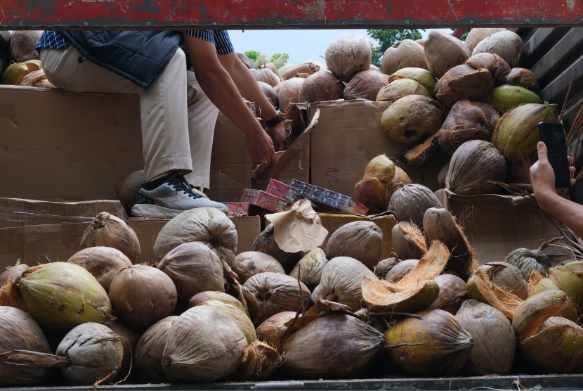 Bea Cukai Bandung bersama Kantor Wilayah (Kanwil) Bea Cukai Jawa Barat menggagalkan pengangkutan 796.000 batang rokok ilegal yang disembunyikan di balik muatan buah kelapa di Kabupaten Sumedang, Jawa Barat, Rabu (9/9/2026).