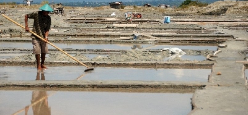 A farmer collects dried salt during the harvest time in Palu, Central Sulawesi.