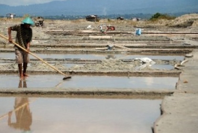 A farmer collects dried salt during the harvest time in Palu, Central Sulawesi.