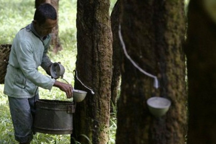 A farmer collects rubber sap from a rubber plantation in Indonesia. (file photo)