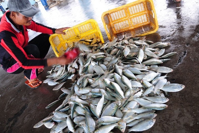 Illegal fishing undermined Indonesian economy and cause a huge amount of financial loss.   