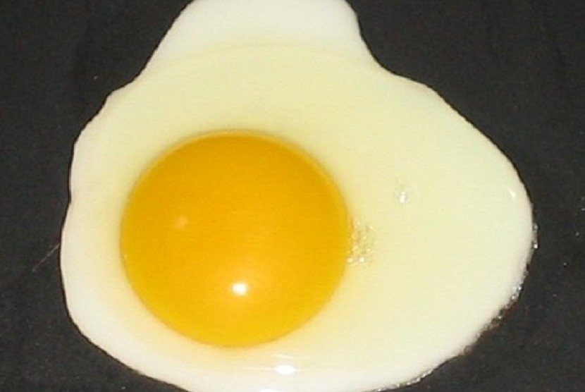 A fried egg (illustration)