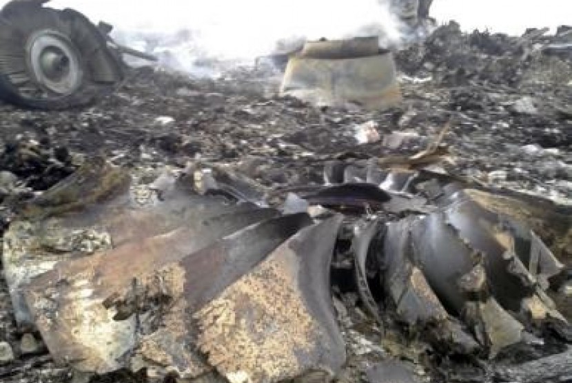 A general view shows the site of a Malaysia Airlines Boeing 777 plane crash in the settlement of Grabovo in the Donetsk region, July 17, 2014.