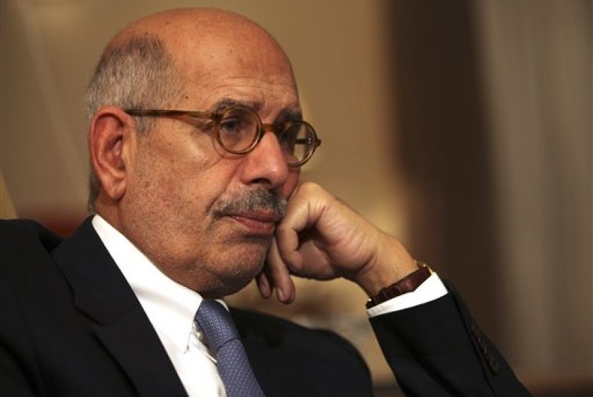 A leading democracy advocate Mohammed ElBaradei has been named vice president of Egypt. (file photo)