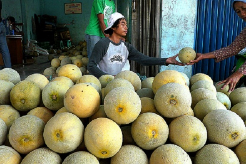  A man sells melons in his stall in Serang, Banten. Rich of fiber and water makes melon as another favorite fruit for iftar (breaking the fast). No wonder the demands of melon can be as many as double during Ramadhan.  
