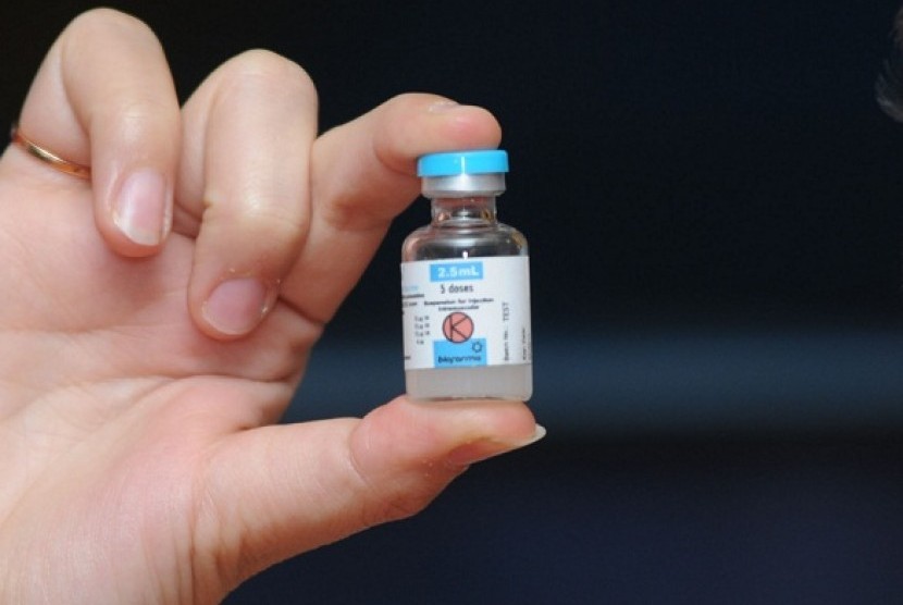 A staff shows new vaccine made by Biofarma, recently.   