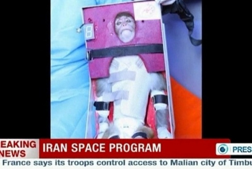 A still image from an undated video footage released on January 28, 2013 by Iran's state-run English language Press TV shows a monkey that was launched into space. 