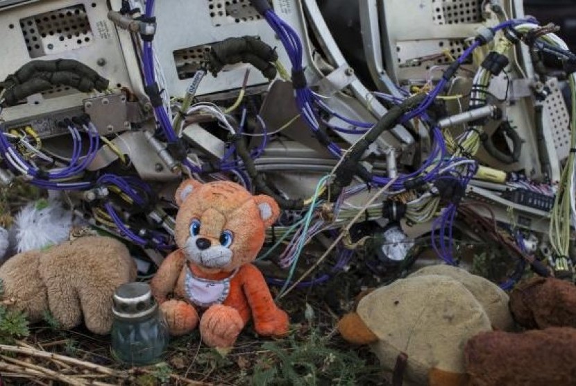 A teaddy bear is placed next to wreckage at the site of the downed Malaysia Airlines flight MH17, near the village of Hrabove (Grabovo) in Donetsk region, eastern Ukraine September 9, 2014.