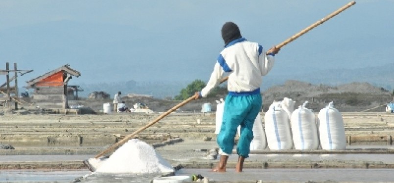 A traditional sea salt farmer harvests the salt in East Palu, Central Sulawesi, recently. (illustration)