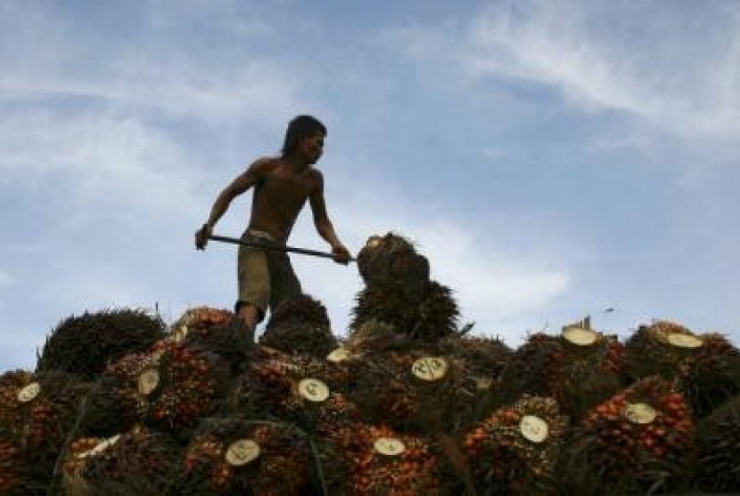 A worker unloads palm fruits at a local palm oil factory in the Serdang Bedagai district of Indonesia's North Sumatra province. (file)