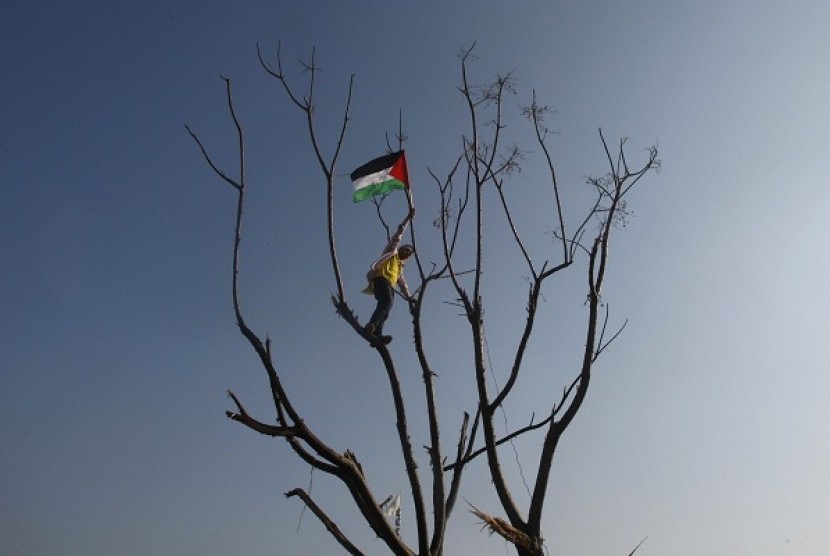 A youth waves a Palestinian flag as he climbs a tree during a rally marking the 48th anniversary of the founding of the Fatah movement, in Gaza City January 4, 2013.  Palestinian officials said Monday they will not rush to issue new passports and ID cards with the emblem 