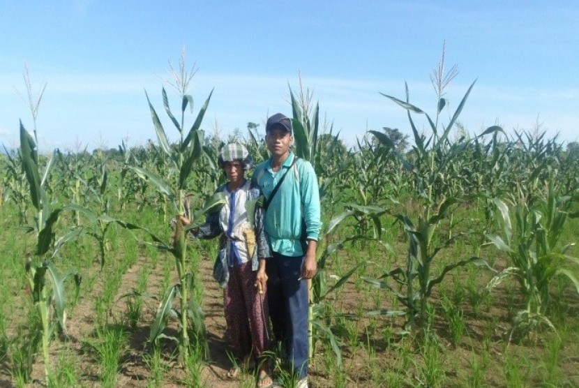 Abah Judin di tengah lahan pertaniannya.