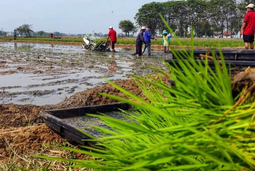 Acara bimbingan teknis (bimtek) budidaya padi kepada petani atau kelompok tani dari sebanyak 120 peserta di BB Padi Sukamandi