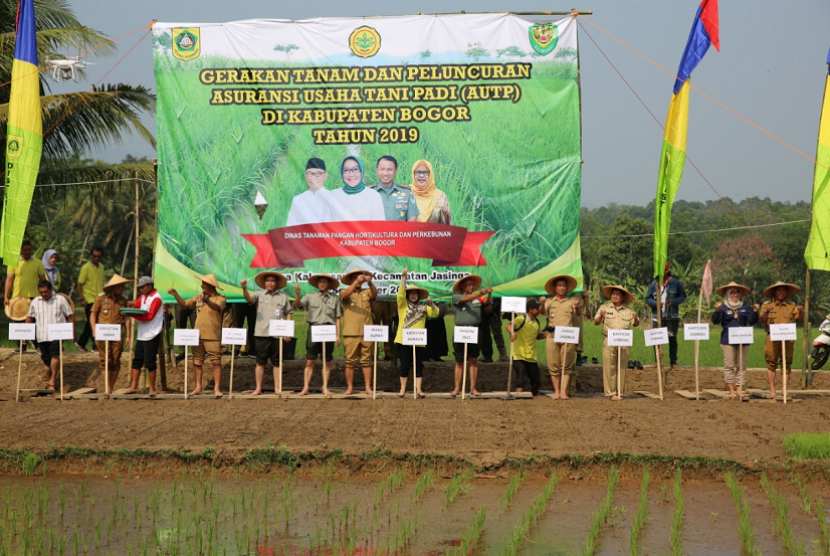 Acara gerakan tanam padi dan peluncuran program Asuransi Usaha Tani Pertanian (AUTP) di Jasingan, Bogor.