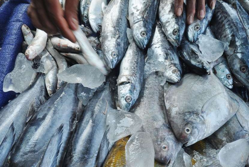 Ada beragam jenis ikan lokal yang bisa digunakan untuk konsumsi diet keto.