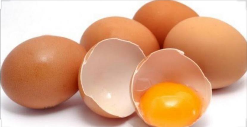 Telur (ilustrasi).
