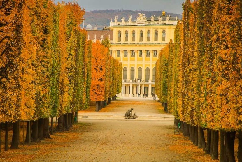 Ada hampir 2.000 pohon yang memagari istana di Wina, Austria. ini.