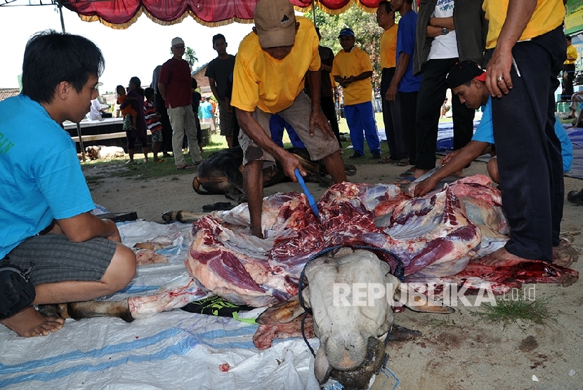 Ada yang istimewa para pelaksanaan kurban hari Idul Adha di masjid Baitullah, Palembang. Di masjid yang terletak di Kelurahan Bukit Lama, pada pelaksanaan kurban, Senin (12/9)