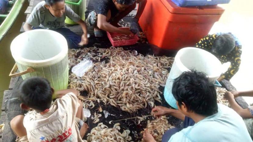 adan Amil Zakat Nasional (Baznas) berkomitmen untuk terus melakukan pendampingan membantu para mustahik yang terdampak pandemi Covid-19, diantaranya adalah nelayan pesisir yang ada di Kabupaten Berau, Kalimantan Timur.
