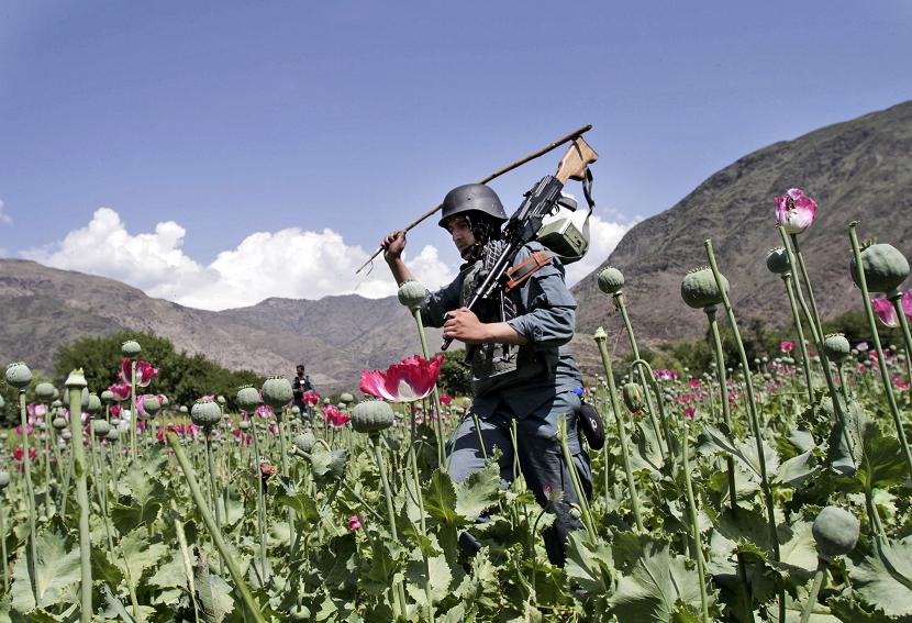 Afghanistan merupakan produsen opium utama dunia.