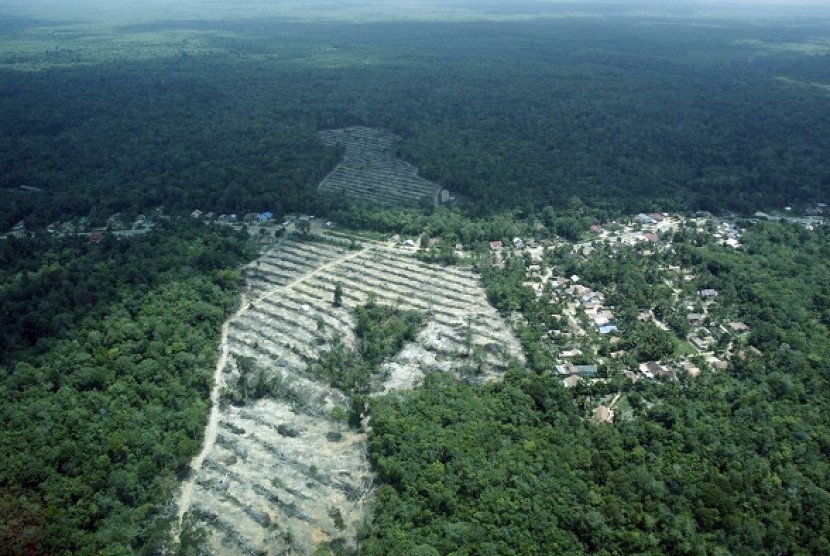 After being used a commercial forest, the ecosystem of the forest in Jambi, Sumatra, is now being restored. (illustration)  
