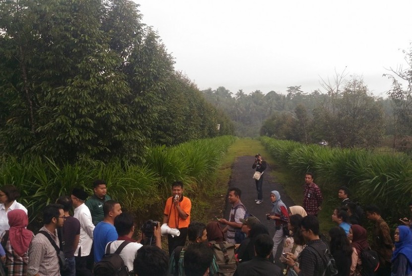 Agrowisata Bulak Barokah, unit BUMDes di Desa Langgongsari, Kecamatan Cilongok, Purwokerto. 