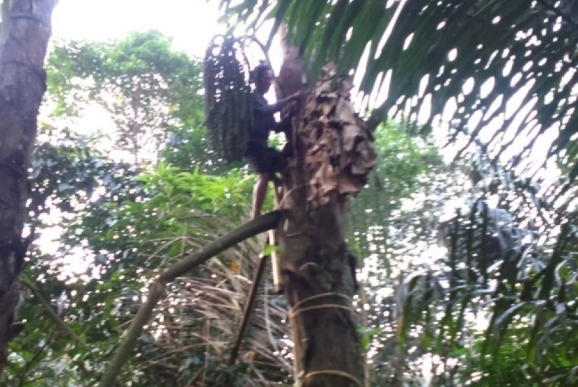 Rumah Adat Kampung Kuta