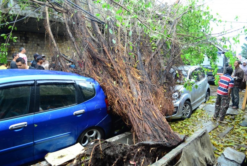 Akibat angin kecang disertai hujan, sebuah dua buah mobil tertimpa pohon, di Jl Ibrahim Aji, Kota Bandung, Rabu (19/4).