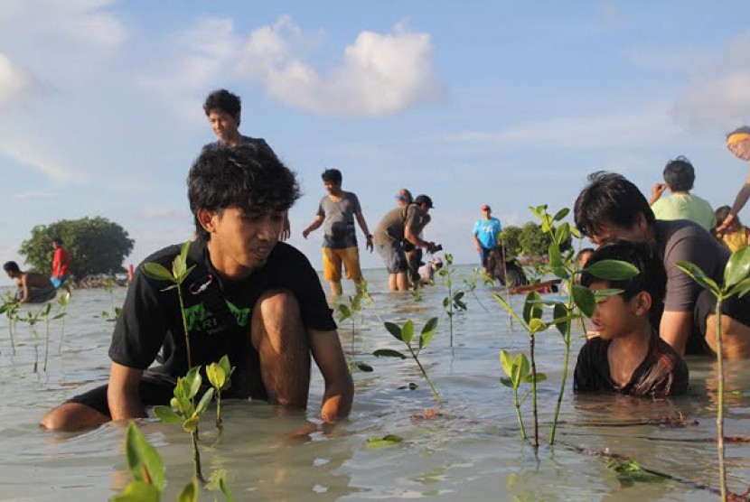 Aksi penanaman mangrove di Pulau Pari, Kepulauan Seribu, oleh forum kreativitas. 