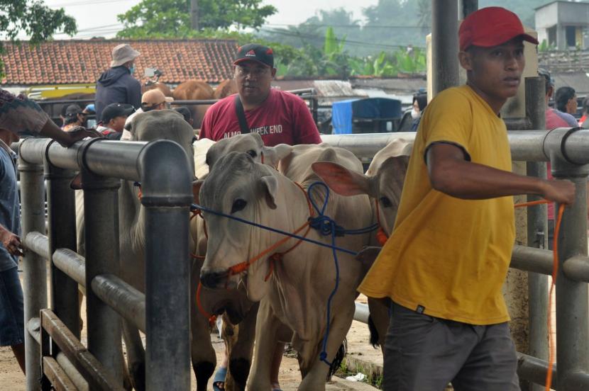 DPKH Probolinggo Pantau Lalu Lintas Ternak Pasar Hewan Antisipasi PMK (ilustrasi).