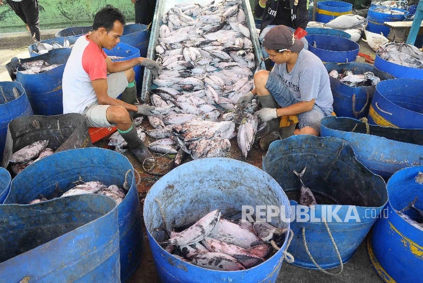 Aktivitas nelayan membongkar muat ikan. (ilustrasi) 