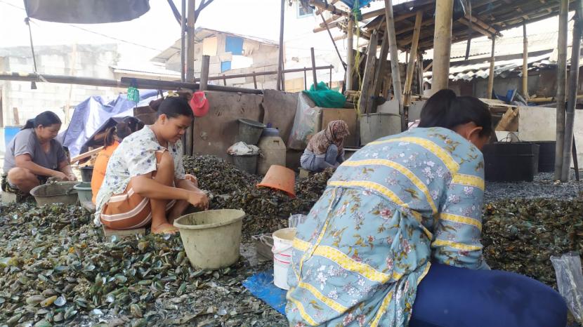 Aktivitas para nelayan dan penjual biota laut di Muara Angke, Jakarta Utara, Selasa (5/10).