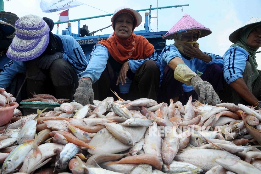 Aktivitas pekerja membongkar muat ikan hasil tangkapan nelayan Indonesia.