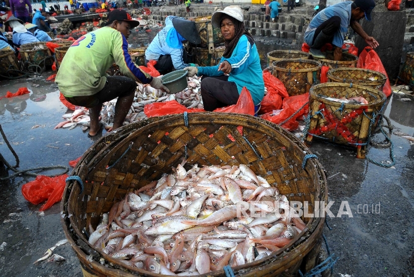 Aktivitas pekerja membongkar muat ikan hasil tangkapan nelayan di Tempat Palelangan Ikan (TPI), ilustrasi