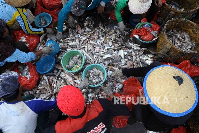 Aktivitas pekerja membongkar muat ikan hasil tangkapan nelayan di Tempat Palelangan Ikan (TPI) Brondong, Lamongan, Jawa Timur, Kamis (6/10)