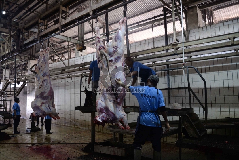 Aktivitas pemotongan sapi kurban di Rumah Pemotongan Hewan. (Republika/Yasin Habibi)