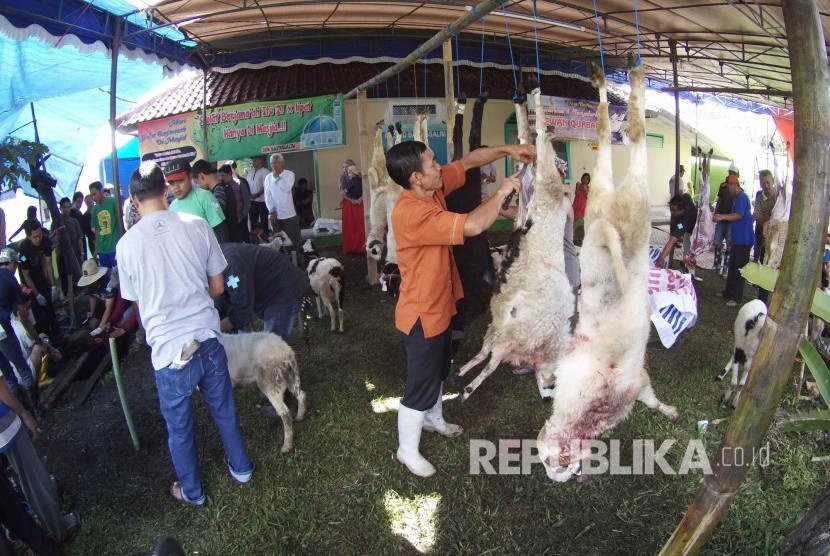 Aktivitas pengurusan hewan kurban, di Lembang, Kabupaten Bandung Barat, Senin (12/9). (Republika/Edi Yusuf)