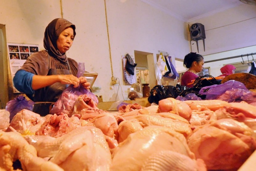 Aktivitas penjual daging ayam potong di los daging pasar Bandarjo, Ungaran, Kabupaten Semarang, Jumat (18/5). Harga daging ayam potong mulai merangkak naik dan hingga awal Ramadhan kali ini sudah mencapai Rp 35 ribu per kilogram. Semula harga daging ayam potong ini hanya berkisar Rp 32 ribu per kilogram.