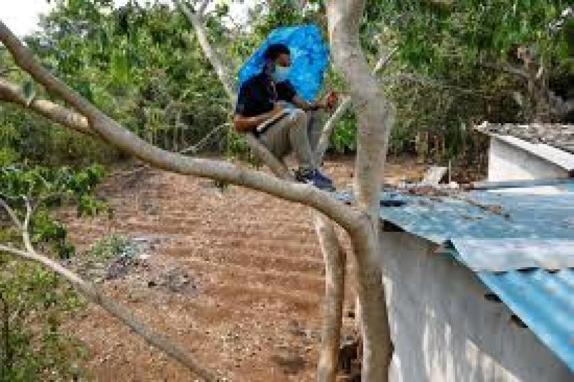 Alexander Contreras belajar di atas pohon untuk mendapat sinyal internet di El Salvador.